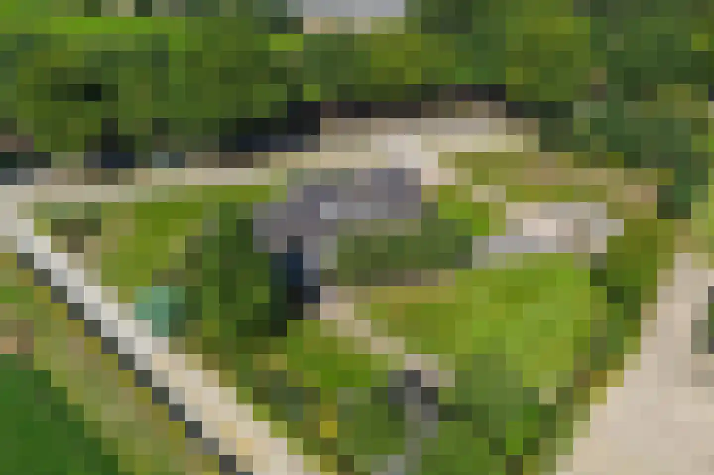 Herselseweg 40 Lierop thumbnail 55