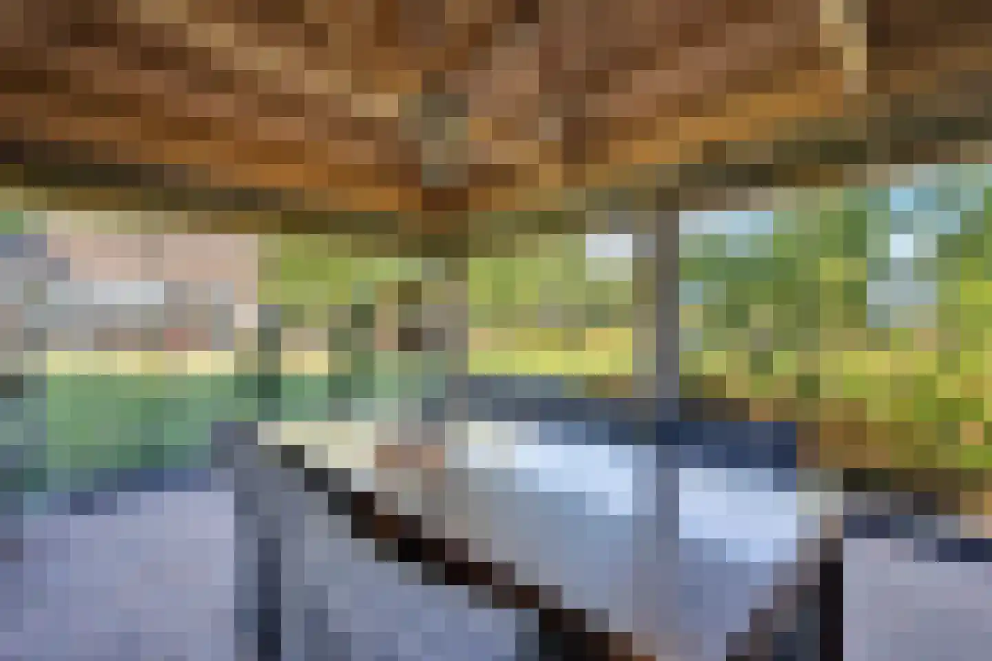 Herselseweg 40 Lierop thumbnail 57