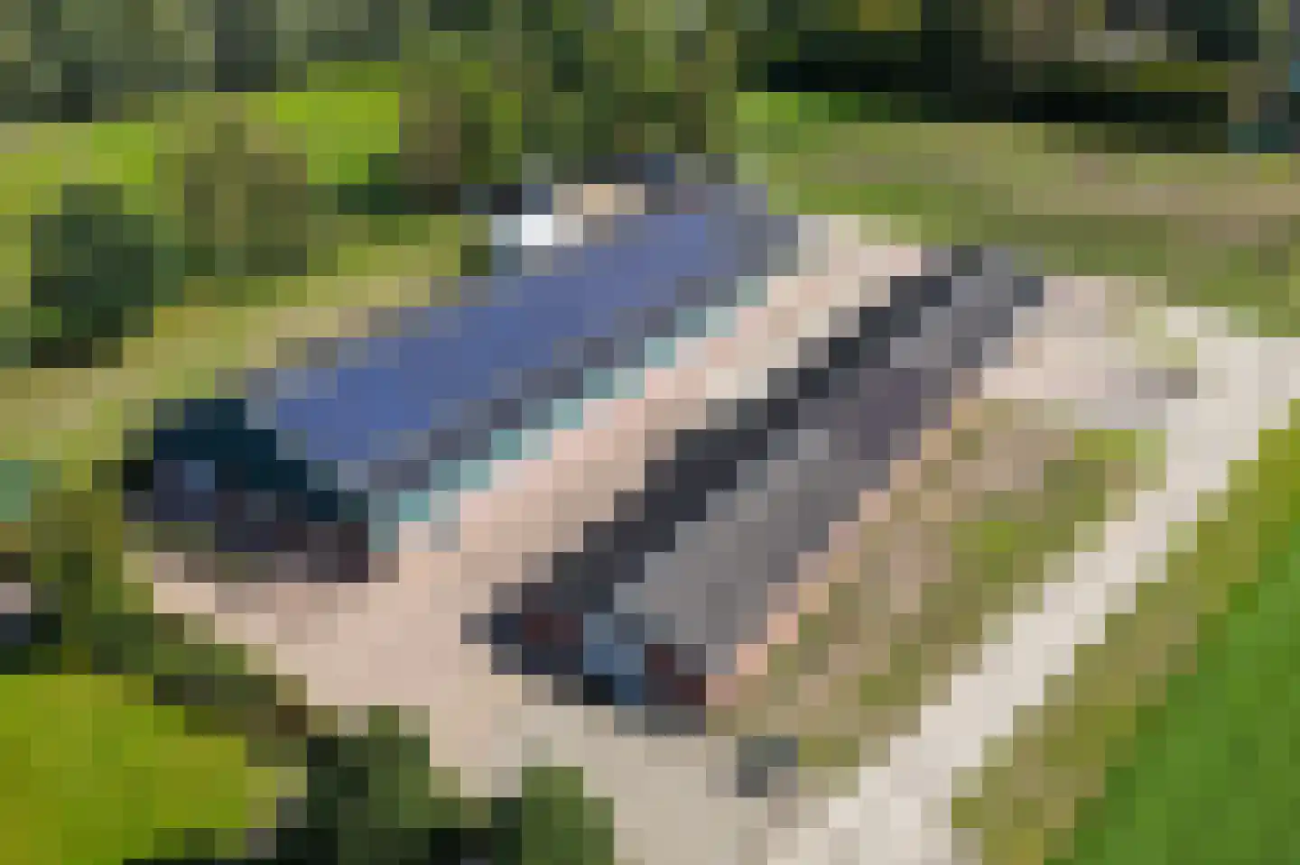 Herselseweg 40 Lierop thumbnail 58