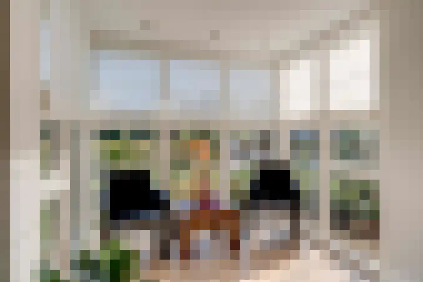 Herselseweg 40 Lierop thumbnail 9