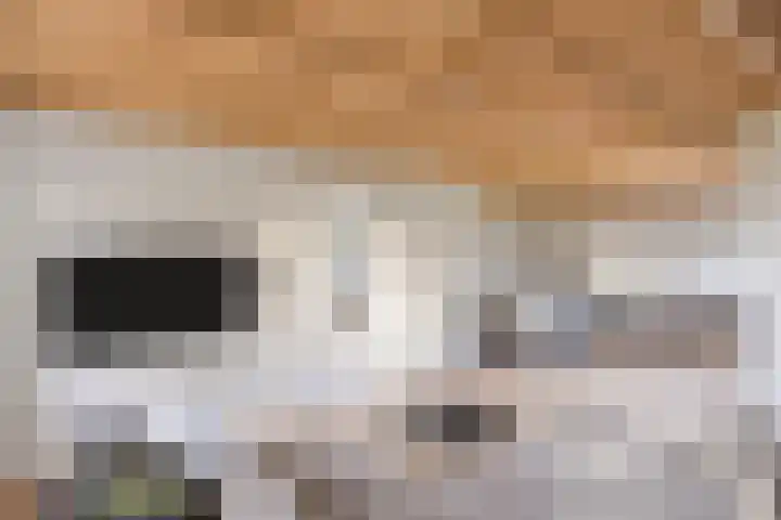 Hersend 9 Berlicum thumbnail 18