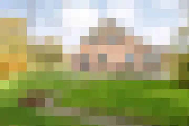 Hersend 9 Berlicum thumbnail 55
