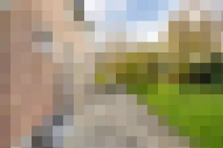 Hersend 9 Berlicum thumbnail 56