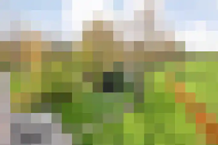 Hersend 9 Berlicum thumbnail 59