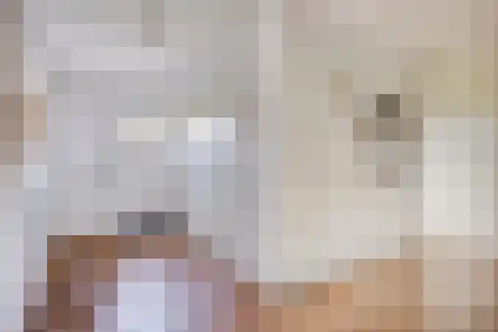 Hersend 9 Berlicum thumbnail 6