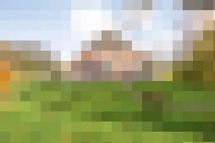 Hersend 9 Berlicum thumbnail 61