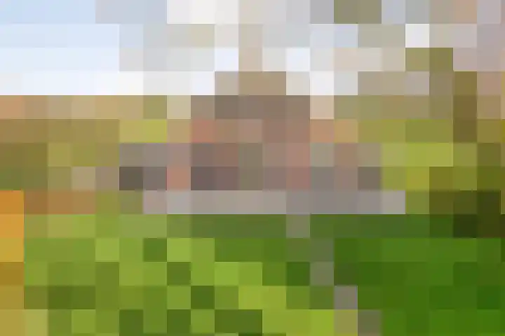 Hersend 9 Berlicum thumbnail 62