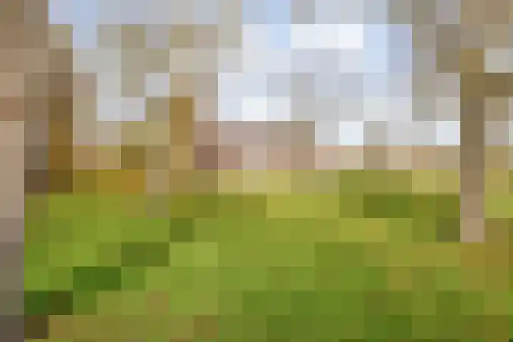 Hersend 9 Berlicum thumbnail 63