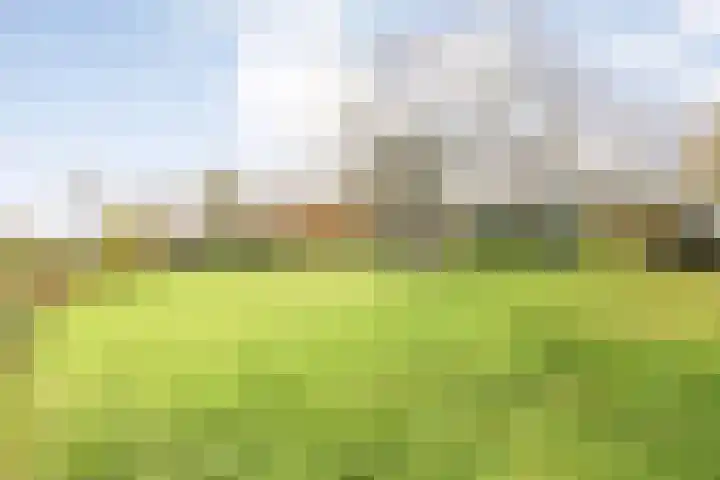 Hersend 9 Berlicum thumbnail 64