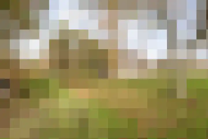 Hersend 9 Berlicum thumbnail 65