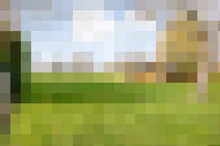 Hersend 9 Berlicum thumbnail 66