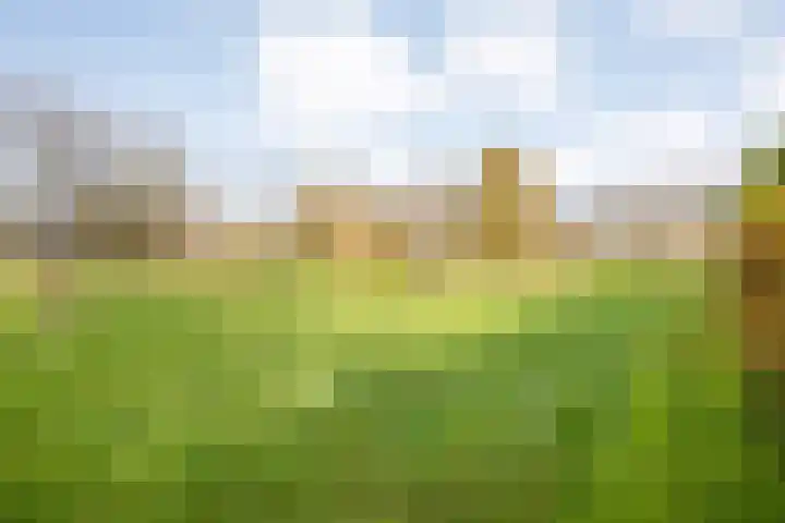 Hersend 9 Berlicum thumbnail 67