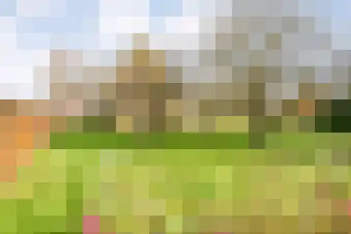 Hersend 9 Berlicum thumbnail 69