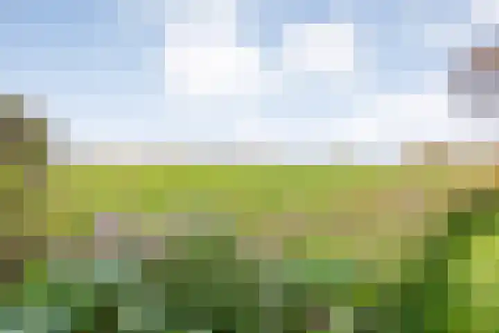 Hersend 9 Berlicum thumbnail 70