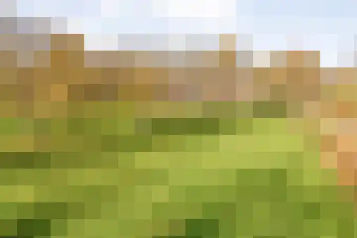 Hersend 9 Berlicum thumbnail 71