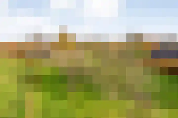 Hersend 9 Berlicum thumbnail 72