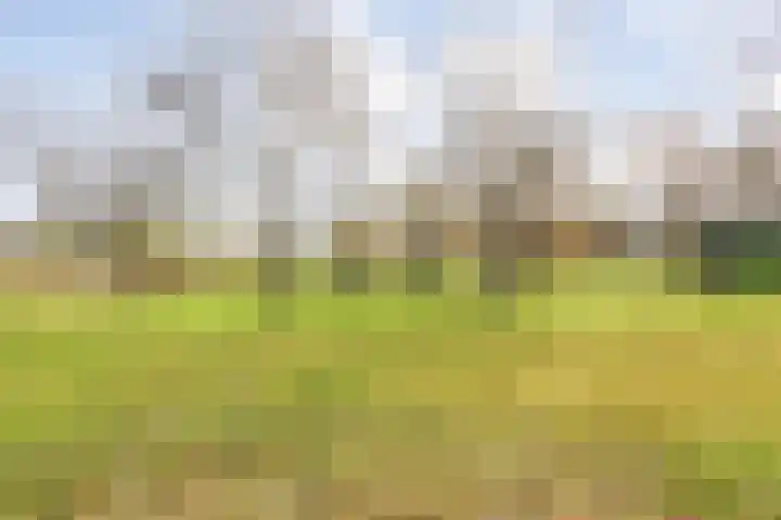 Hersend 9 Berlicum thumbnail 73