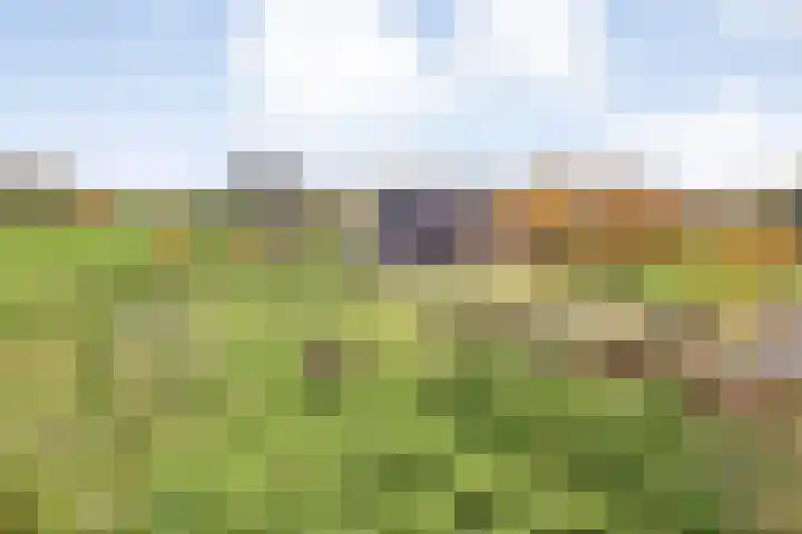 Hersend 9 Berlicum thumbnail 74