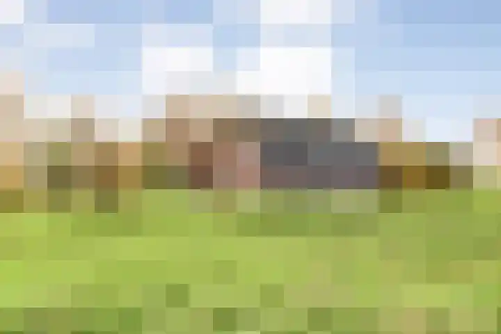 Hersend 9 Berlicum thumbnail 75