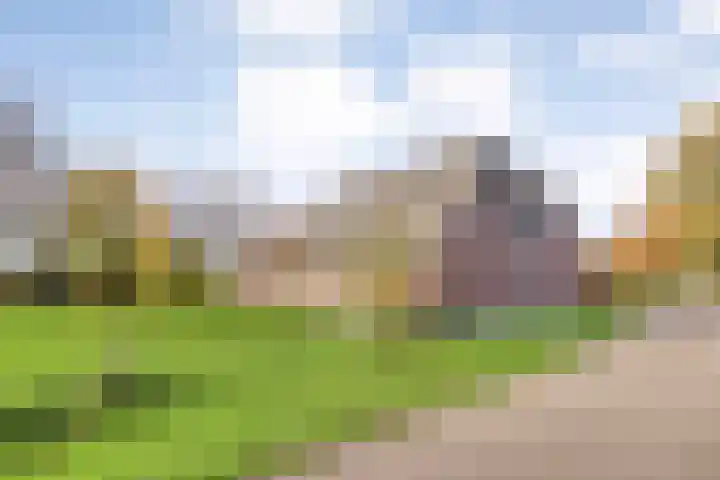 Hersend 9 Berlicum thumbnail 80