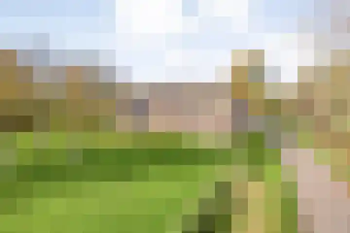 Hersend 9 Berlicum thumbnail 81