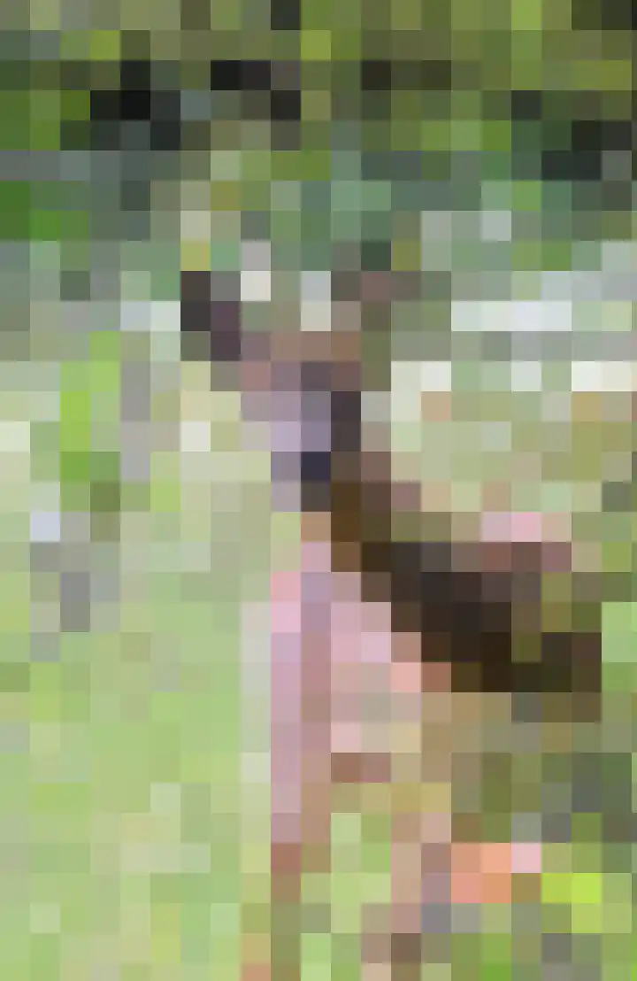 Hersend 9 Berlicum thumbnail 83