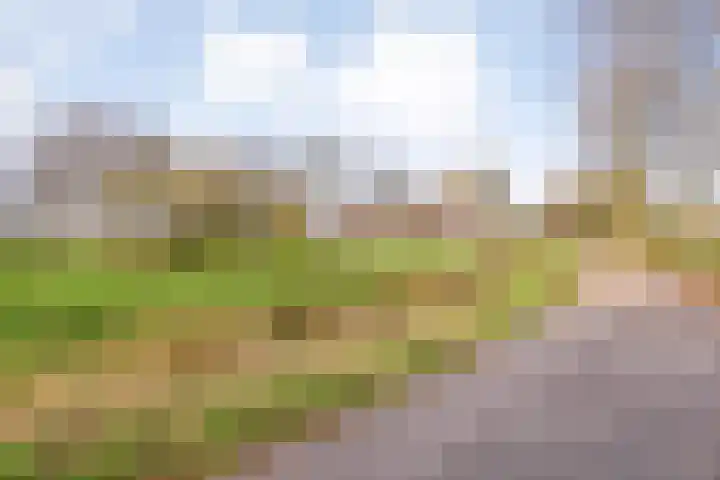 Hersend 9 Berlicum thumbnail 84