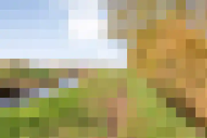 Hersend 9 Berlicum thumbnail 86