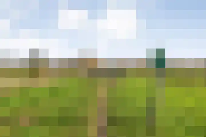 Hersend 9 Berlicum thumbnail 87