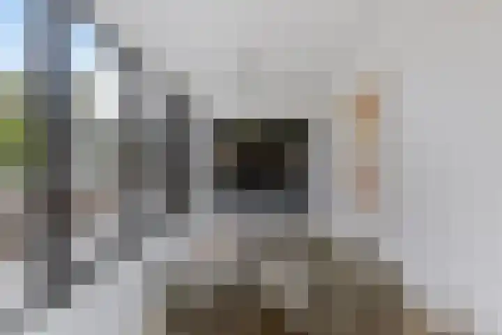 Herstallenstraat 5 Goirle thumbnail 17