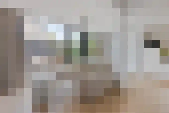 Herstallenstraat 5 Goirle thumbnail 22