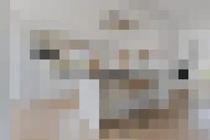 Herstallenstraat 5 Goirle thumbnail 23