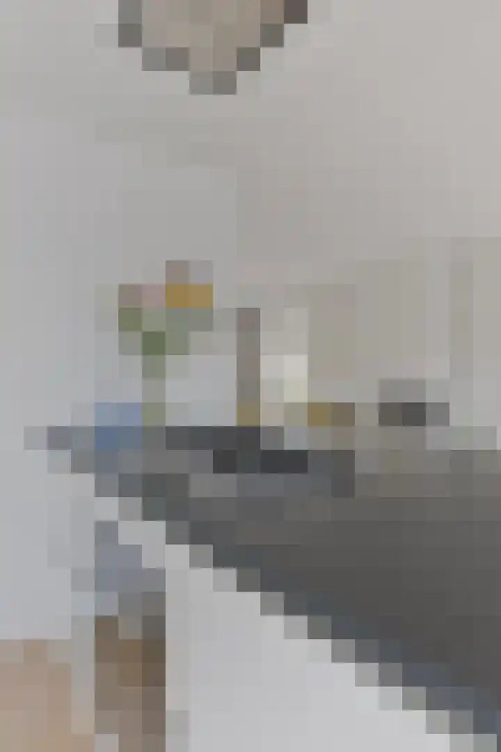 Herstallenstraat 5 Goirle thumbnail 26