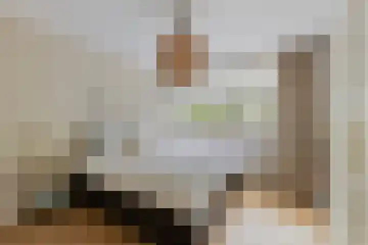 Herstallenstraat 5 Goirle thumbnail 29