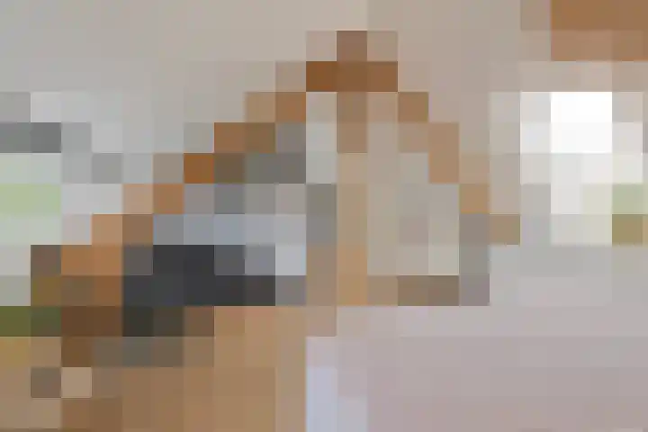 Herstallenstraat 5 Goirle thumbnail 35