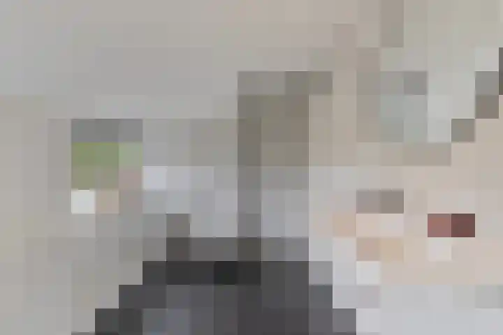 Herstallenstraat 5 Goirle thumbnail 36