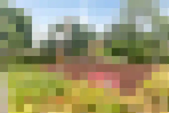 Herstallenstraat 5 Goirle thumbnail 46