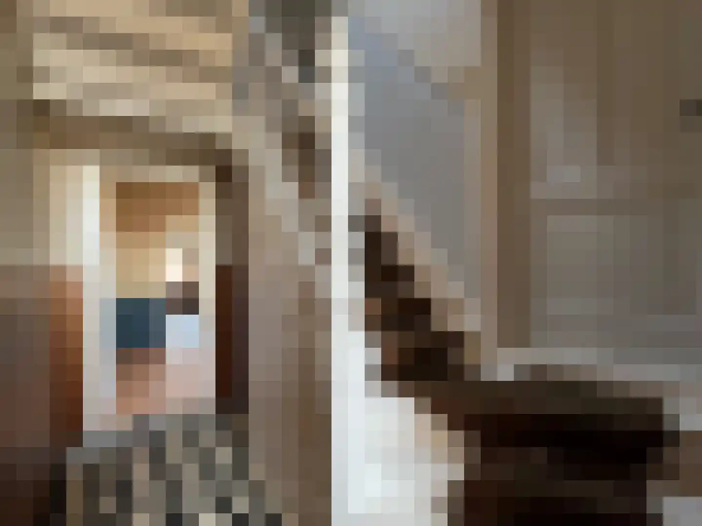 Herstraat 35 Horst thumbnail 12