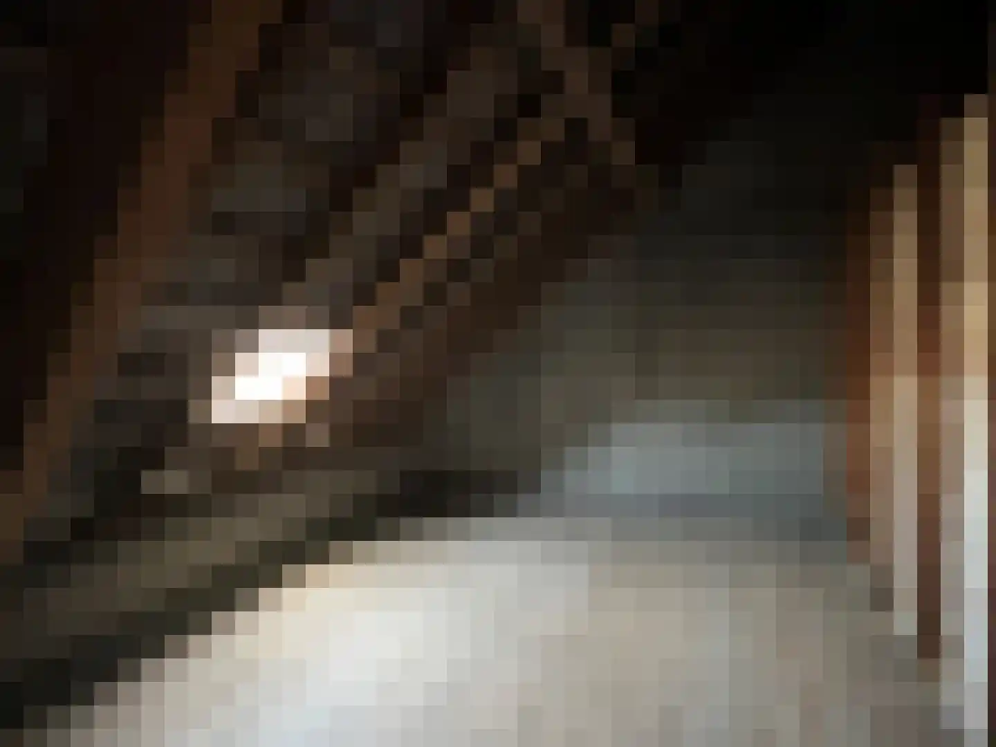 Herstraat 35 Horst thumbnail 18