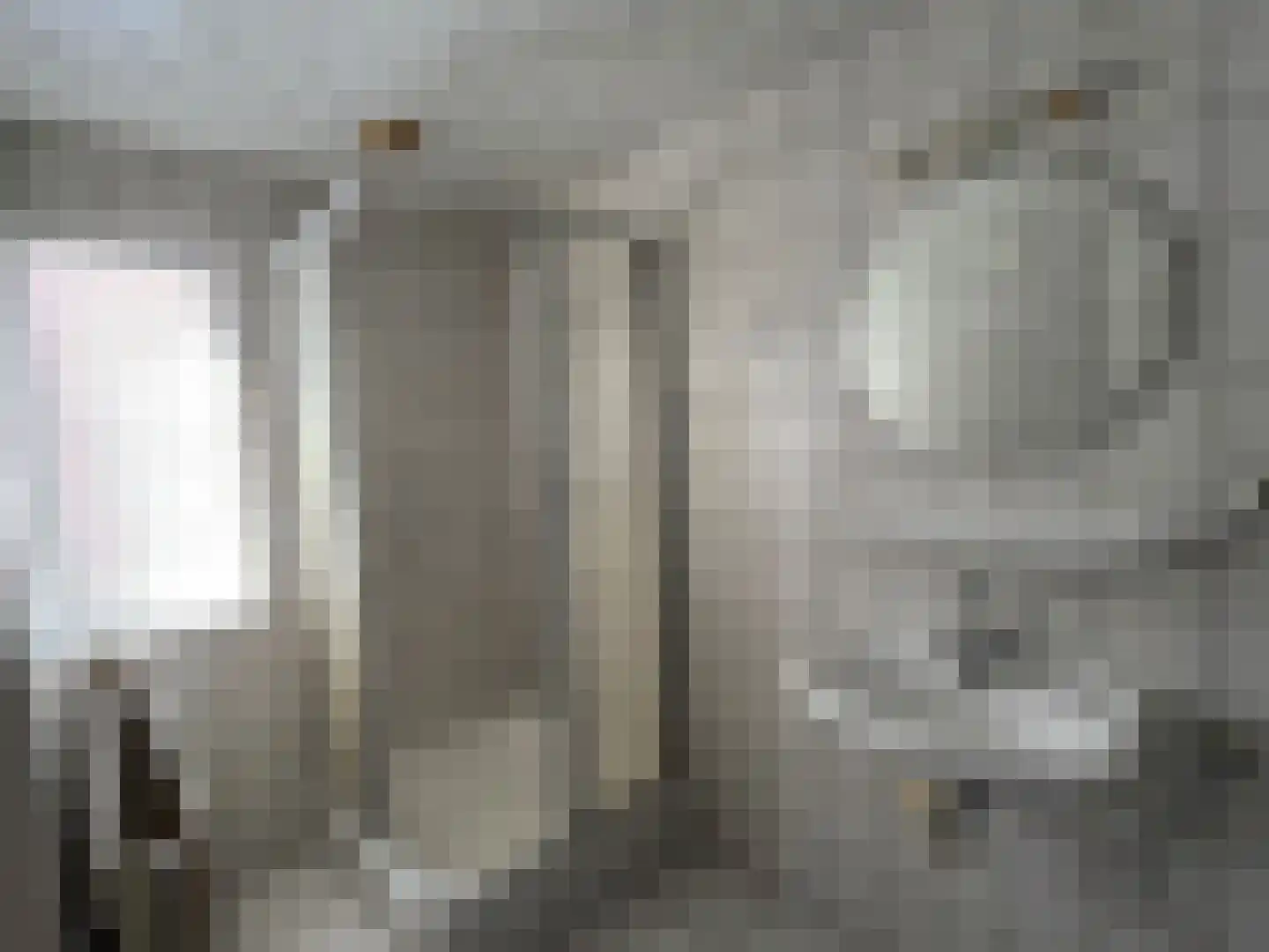 Herstraat 35 Horst thumbnail 19