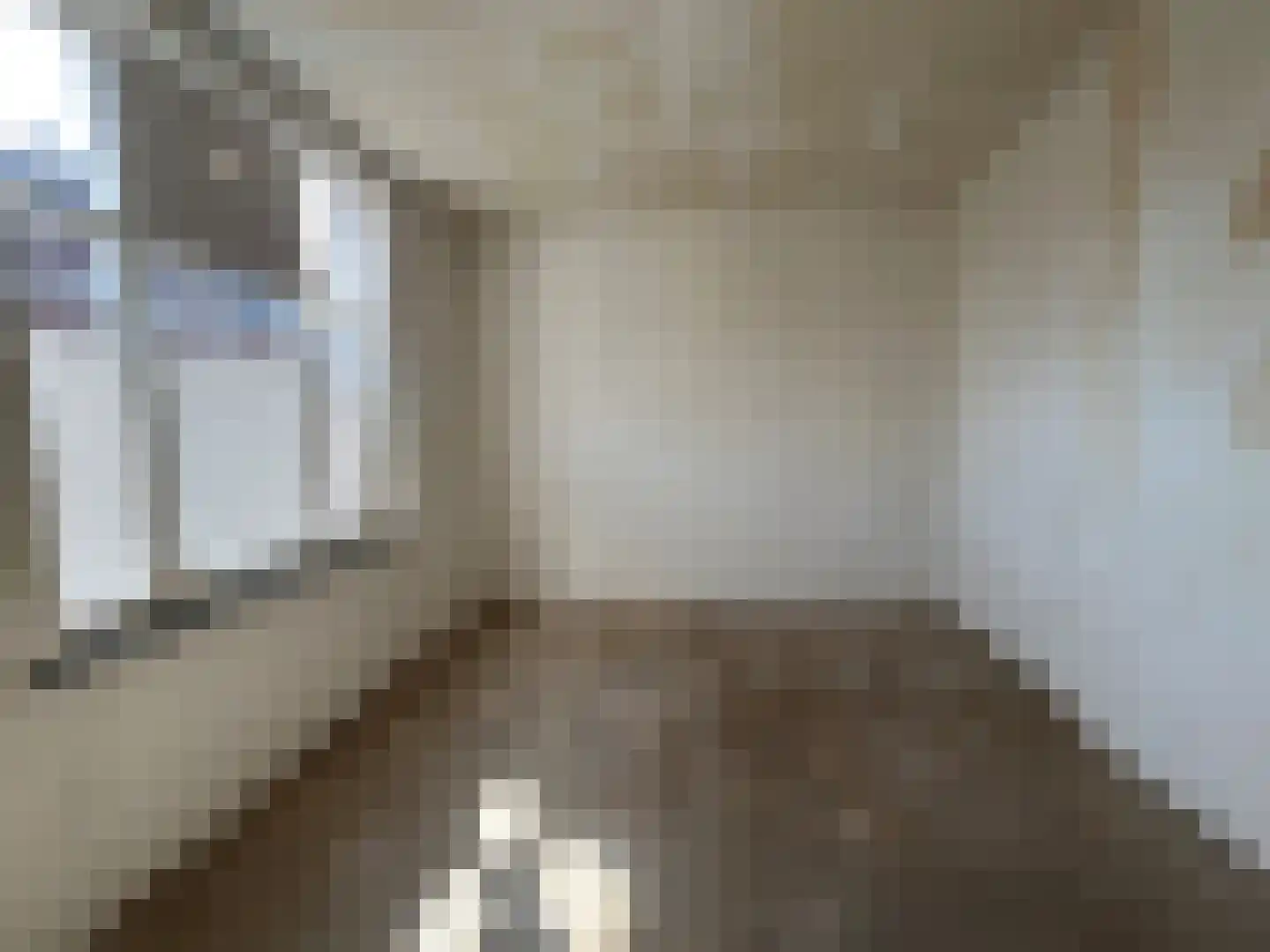 Herstraat 35 Horst thumbnail 25