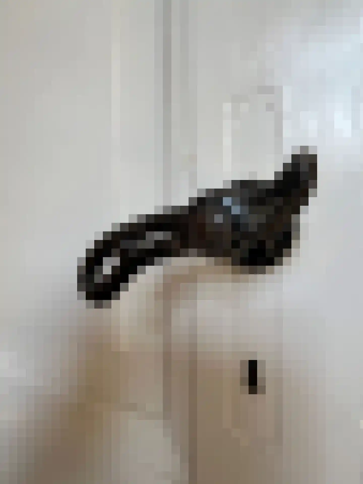 Herstraat 35 Horst thumbnail 31