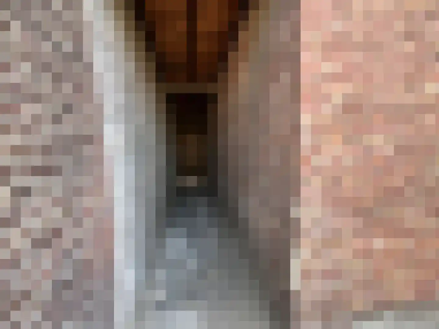 Herstraat 35 Horst thumbnail 4