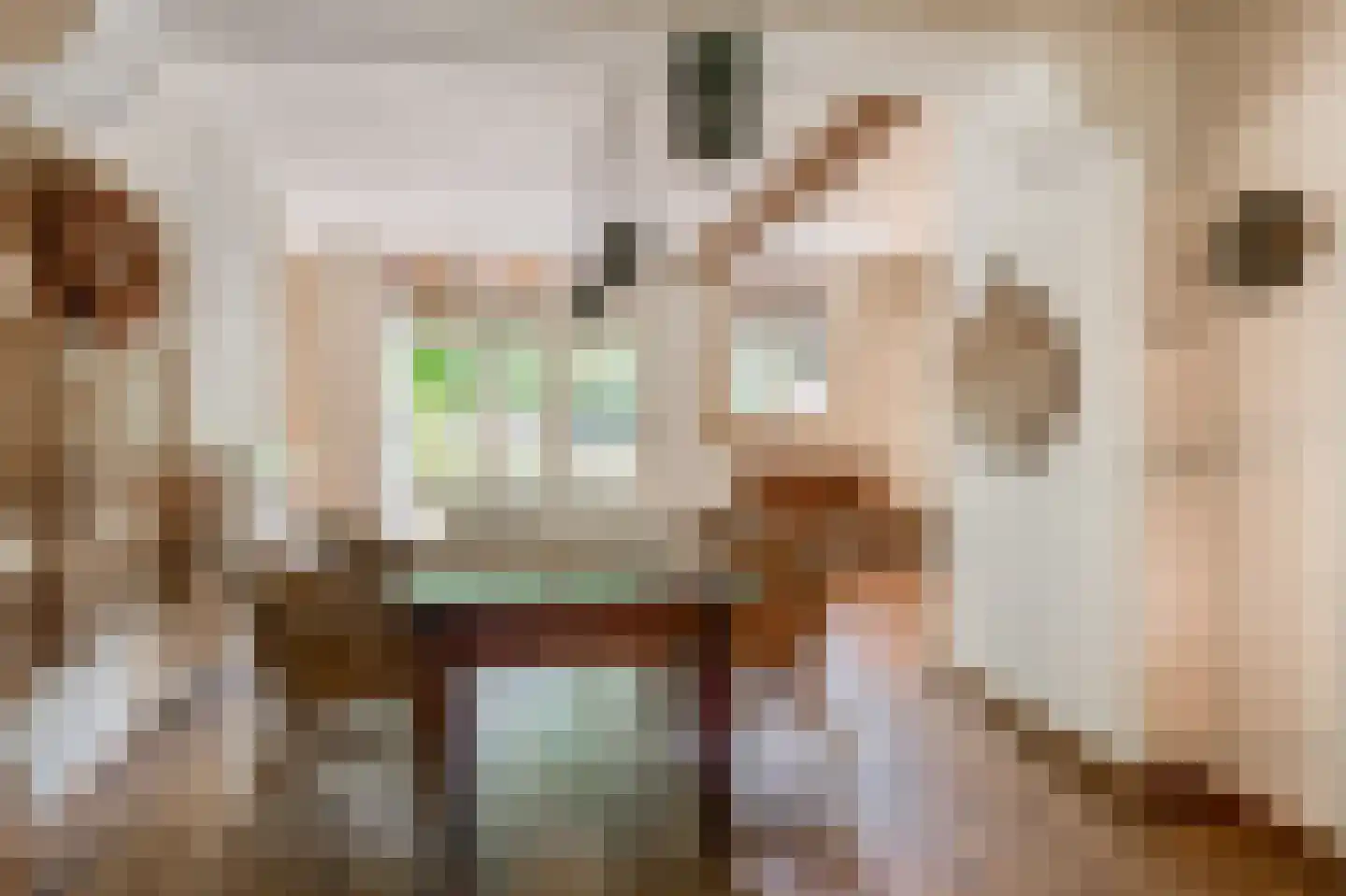 Hert 1 Baarlo thumbnail 21