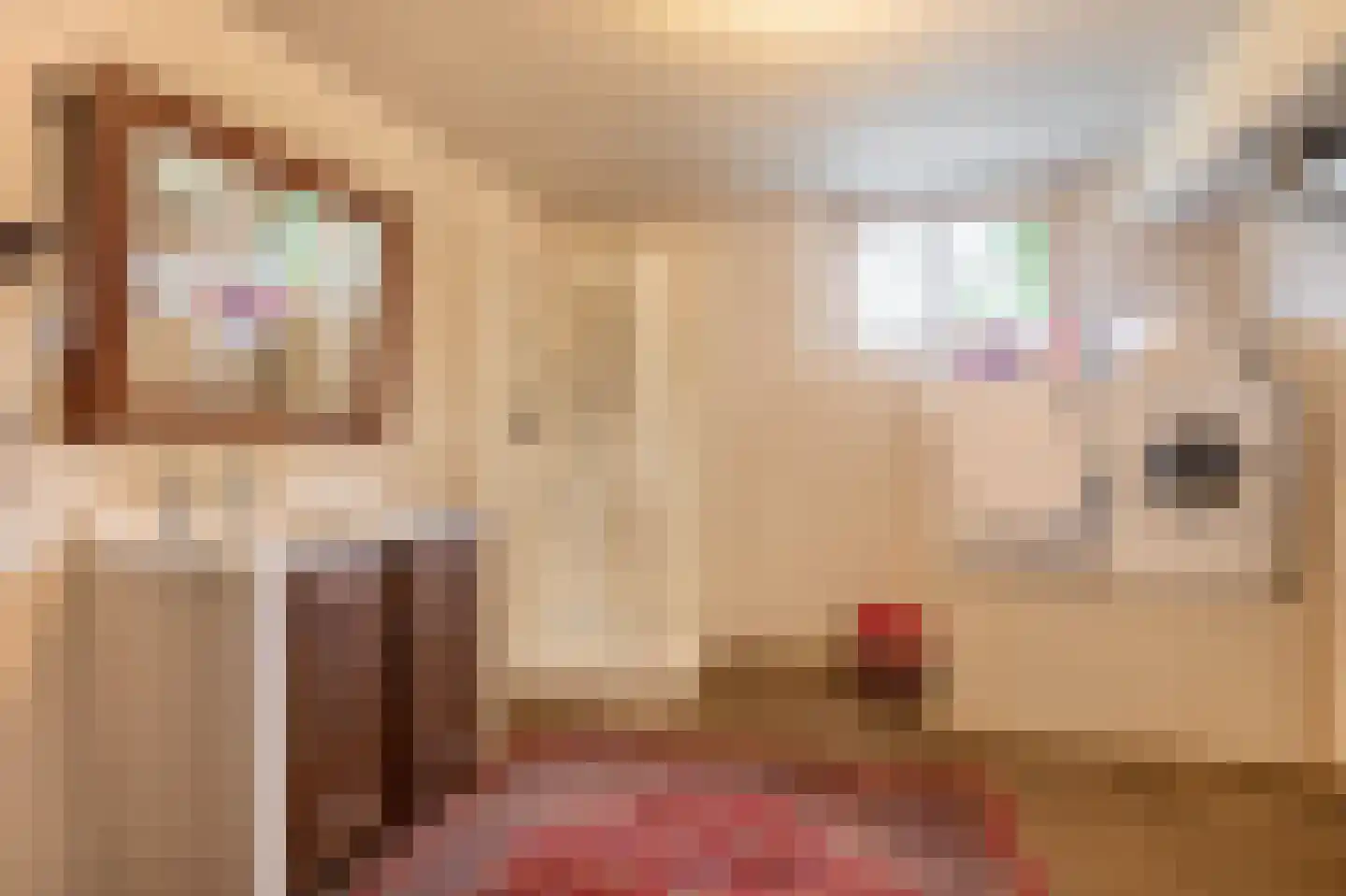 Hert 1 Baarlo thumbnail 32