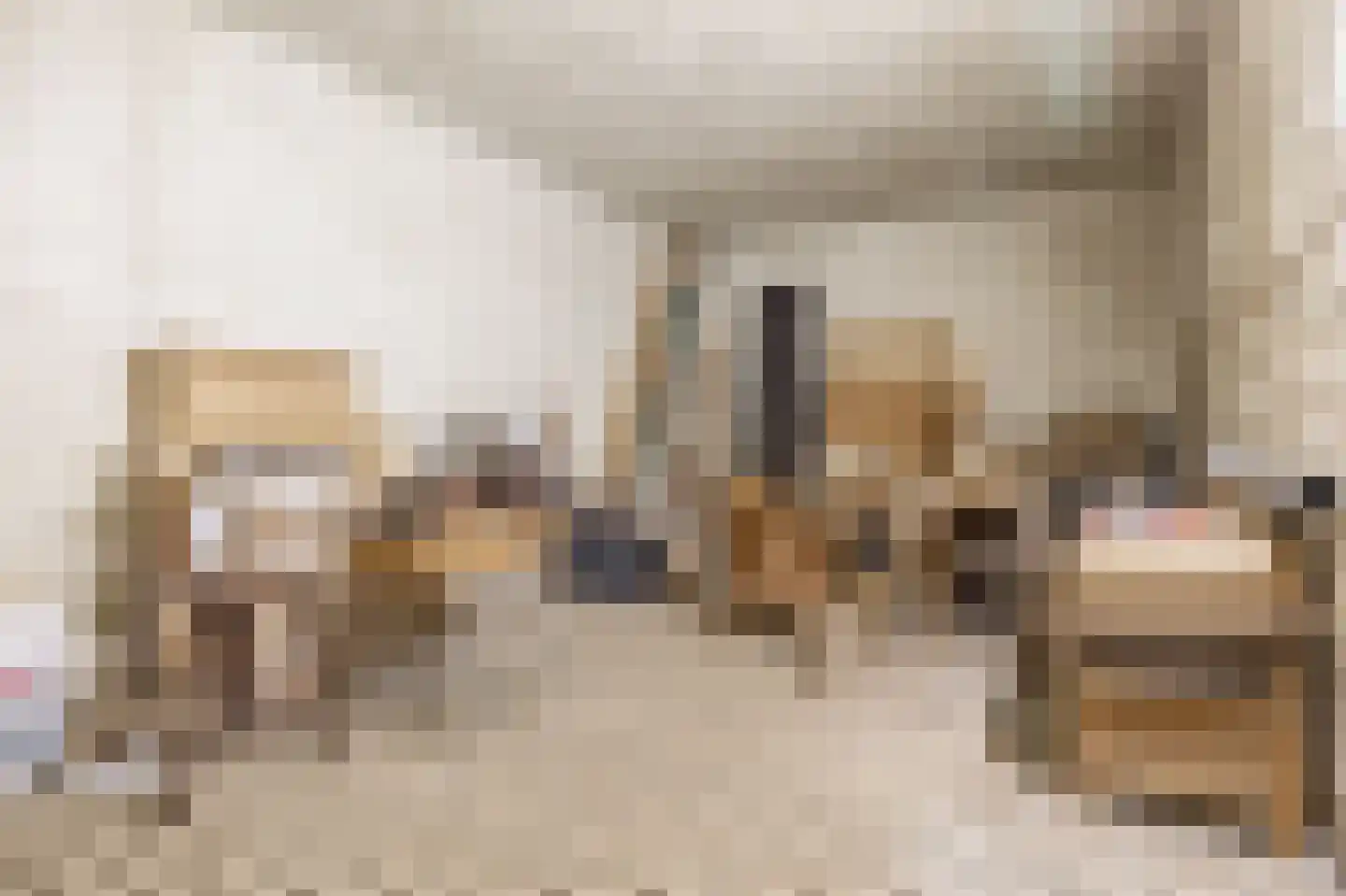 Hert 1 Baarlo thumbnail 33