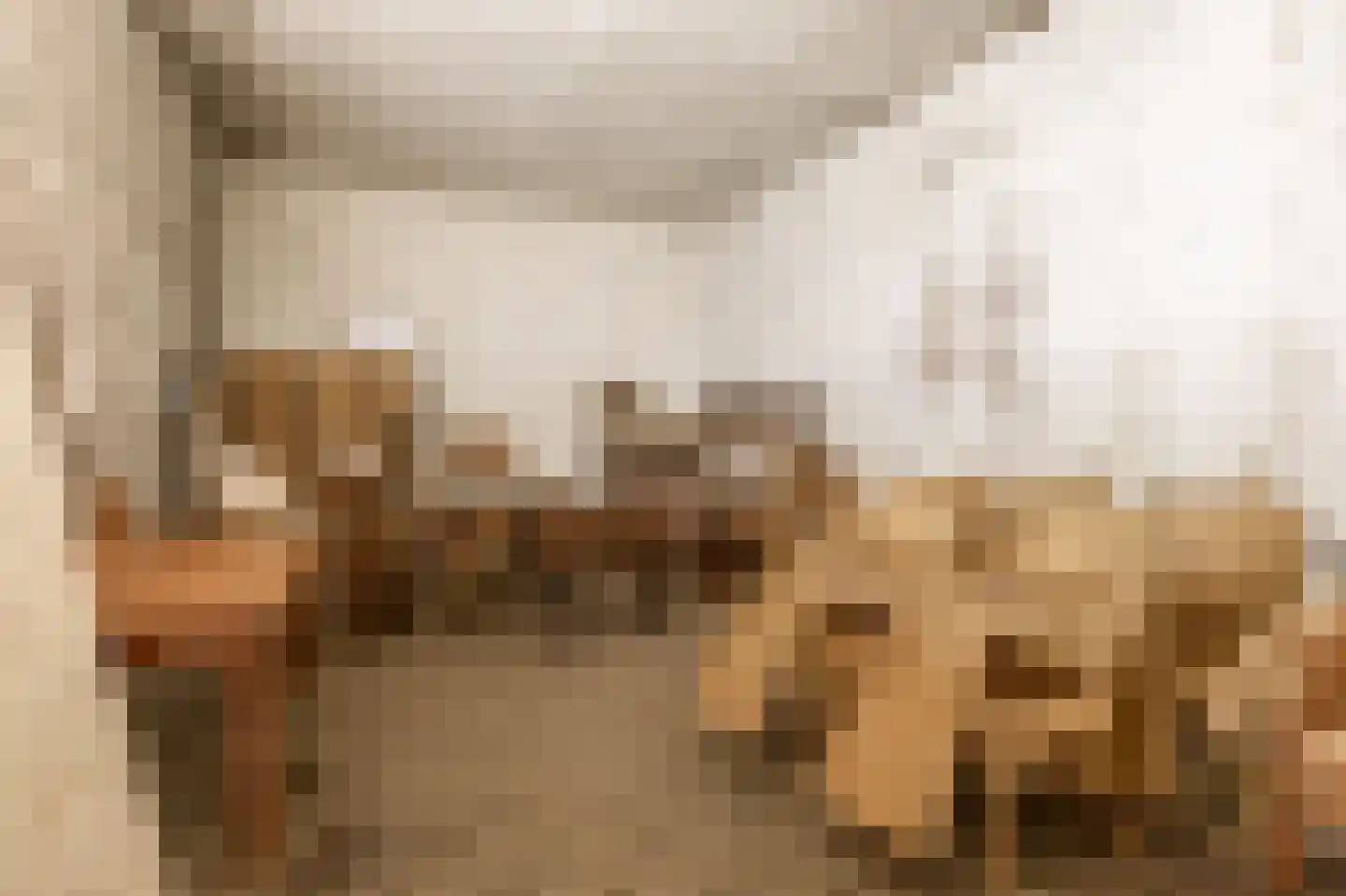 Hert 1 Baarlo thumbnail 34