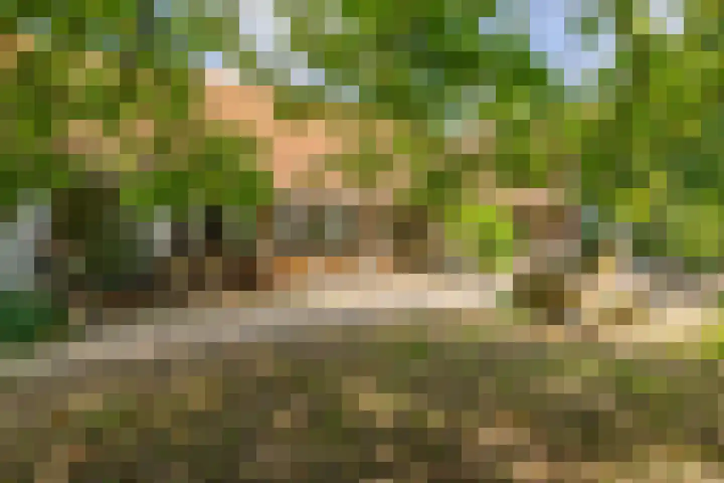 Hert 1 Baarlo thumbnail 35
