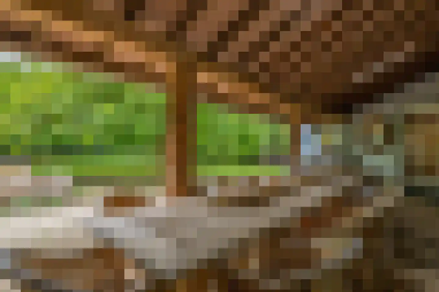 Hert 1 Baarlo thumbnail 37
