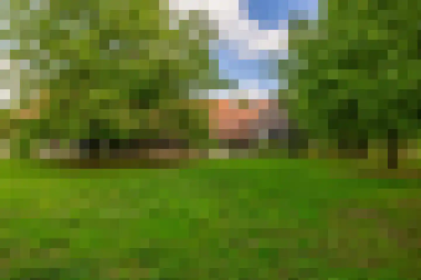 Hert 1 Baarlo thumbnail 42